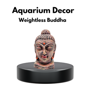 Aquarium Decor- Weightless Buddha